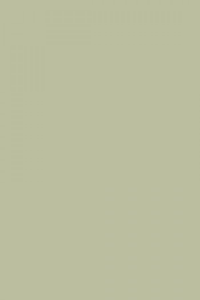 Farrow and Ball Vert De Terre No. 234 Paint Alexander Interiors